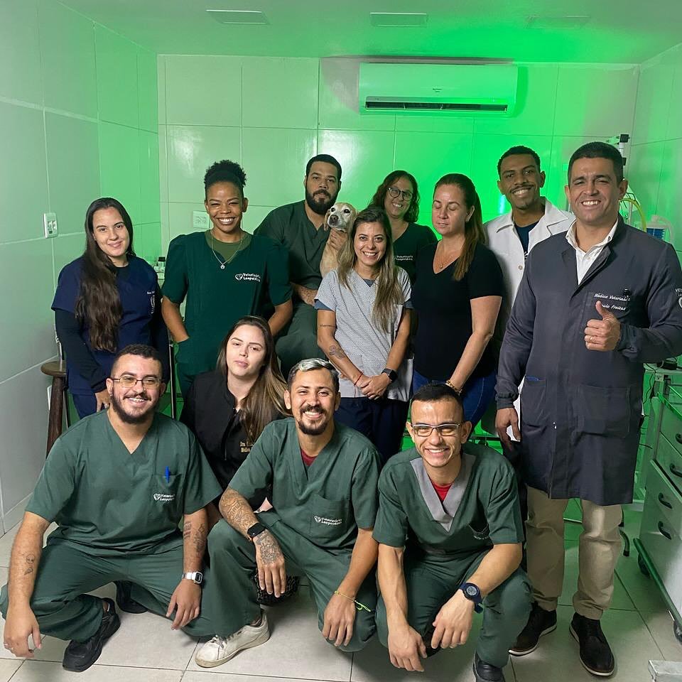 Equipe veterinária